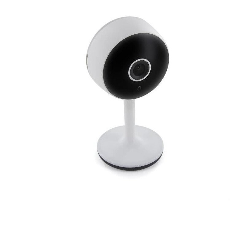 Caméra IP Wi-Fi intérieure pour surveiller vos animaux de compagnie en 1080P