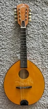 Gold Tone GM-10 Frypan Acoustic Bluegrass Mandolin with Hard Case