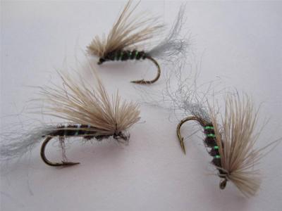 1 DZ D-3 GRIZZLY CADDIS DARK BROWN'S (SIZES AVAILABLE), DRY FLIES