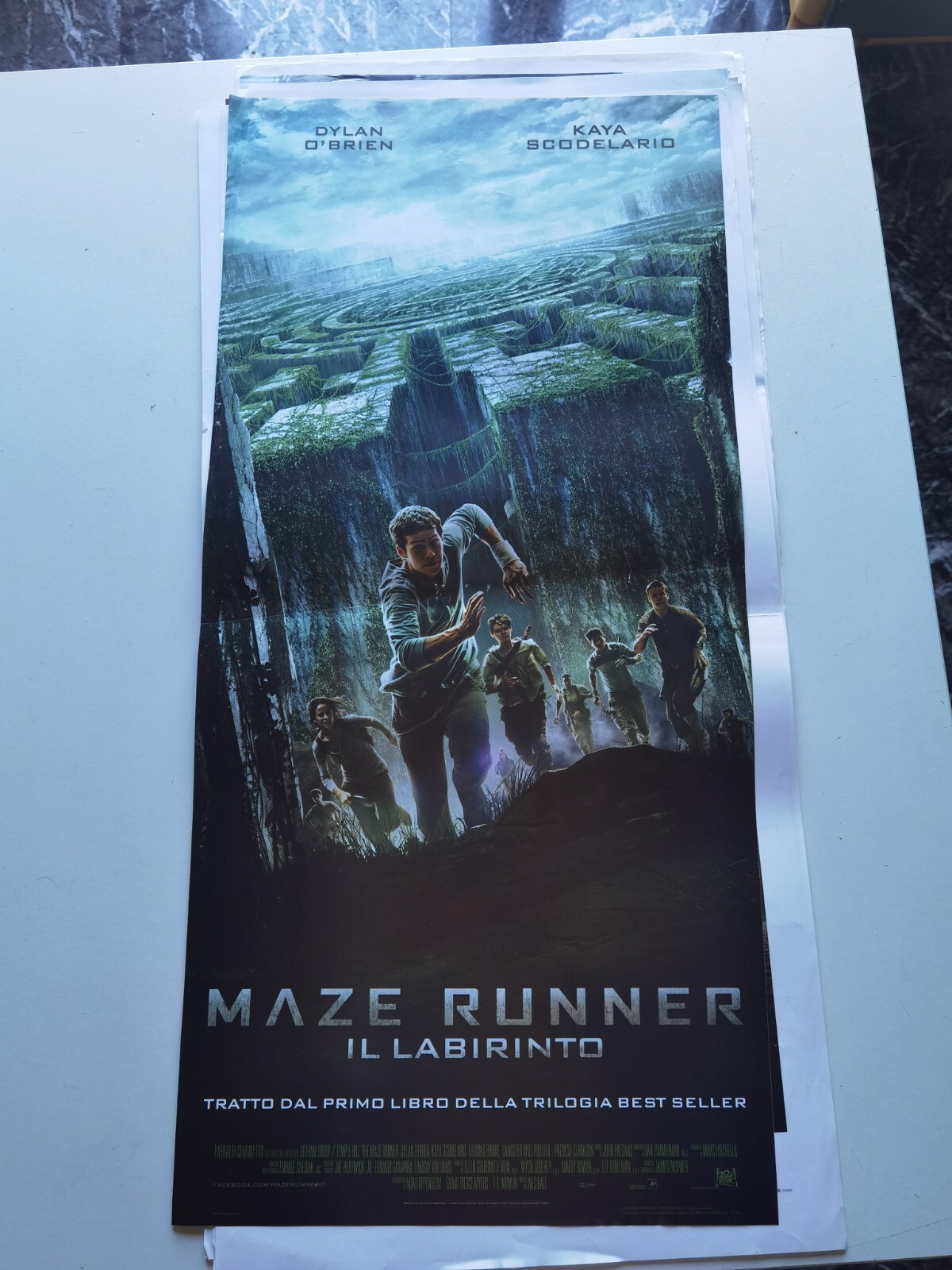 Locandina di Maze Runner - Il labirinto (2014)