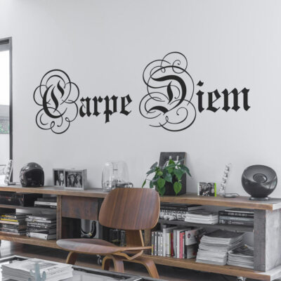 Wandtattoo Wandaufkleber Schriftzug Carpe Diem Nütze den Tag - W133