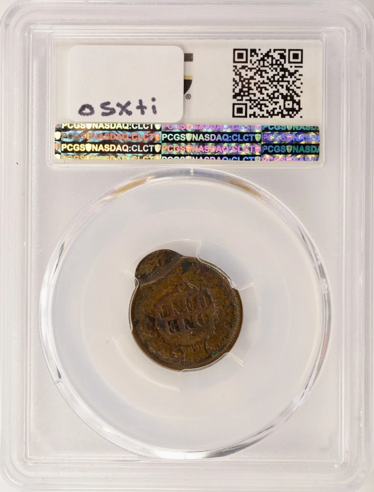 1887 1c Indian Cent Triple-Struck, 3rd 95% Off-Center PCGS G6 - Image 4 of 4