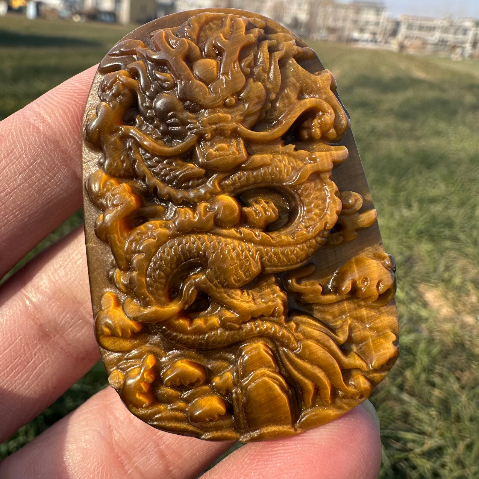 Hand Carved Tiger Eye Dragon Skull Crystal for Reiki Healing Energy