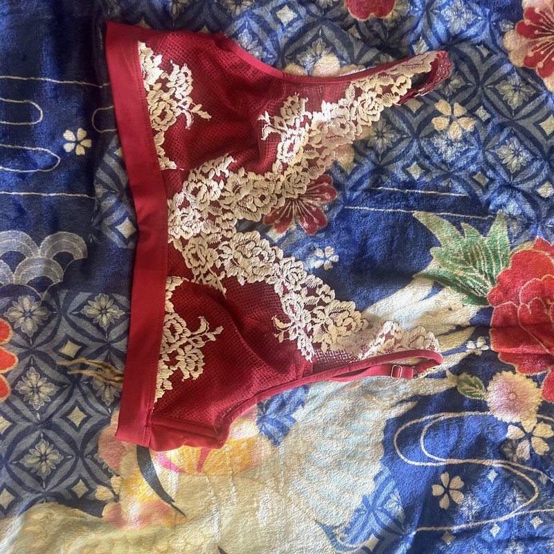 Intimissimi Pretty Flowers Red Lace Bra 34b