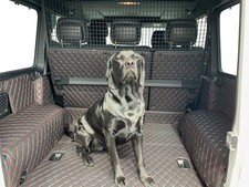 Carstyler Kofferraummatte Kofferraumschutz Für Mercedes Benz GLE Coupe C292 SR