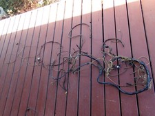 1955 Desoto Under Dash Wiring Harness Oem Maybe Engine