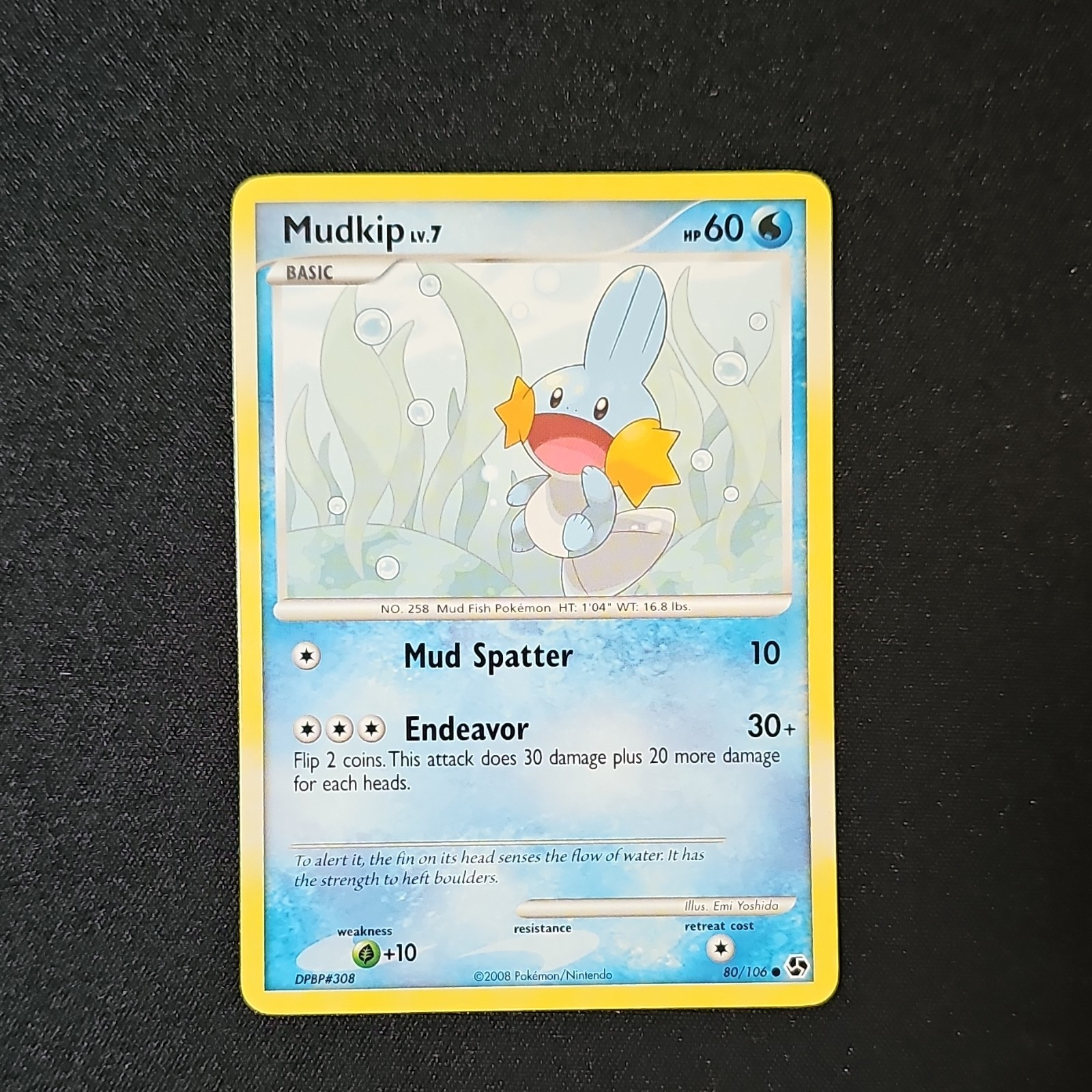 Mudkip Great Encounters 80/106 Regular