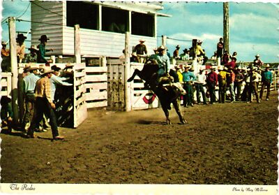 Vintage Postcard 4x6- THE RODEO 1960-80s | eBay