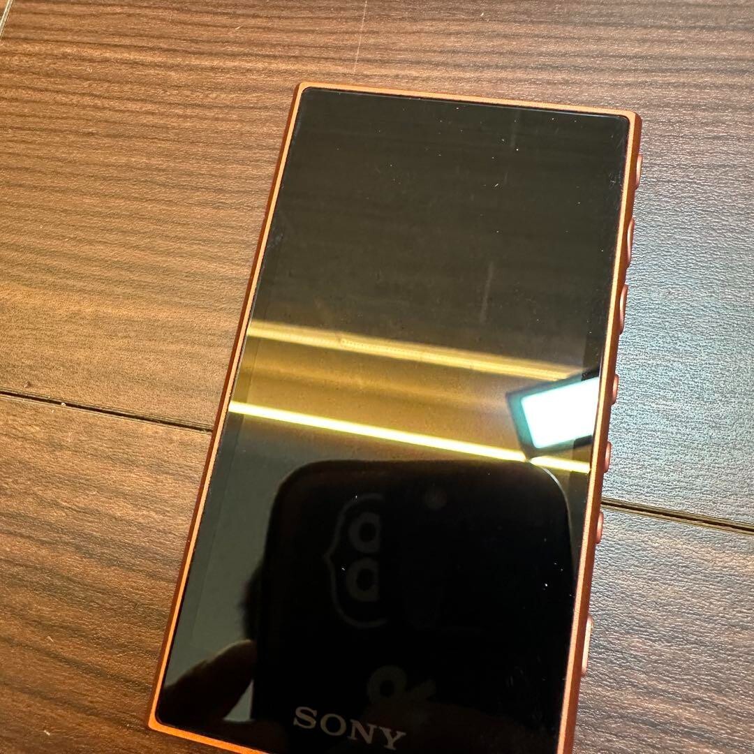 SONY Walkman Digital Audio Player NW-A105 2421 From Japan | eBay