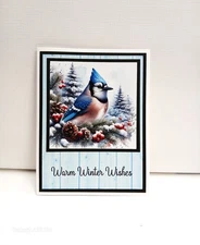 Card Kit Beautiful bluejay Warm Winter Wishes  Total 4 cards with envies