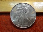 2002 United States American Silver Eagle 1 Oz 0.999 Silver Coin - No Reserve