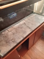 75 Gallon Reptile Tank