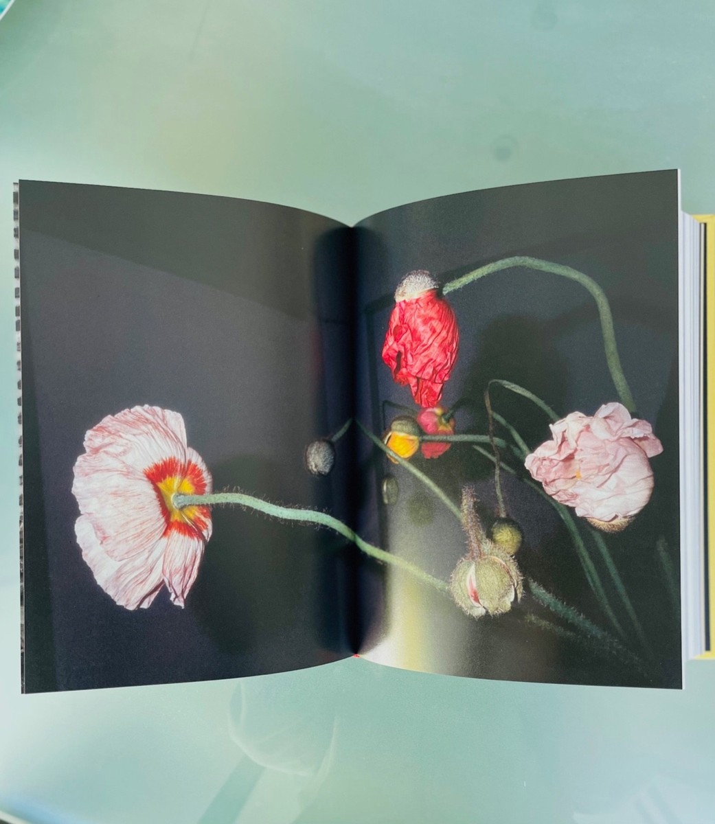 Nobuyoshi Araki, Self Life Death, first edition, signed, limited