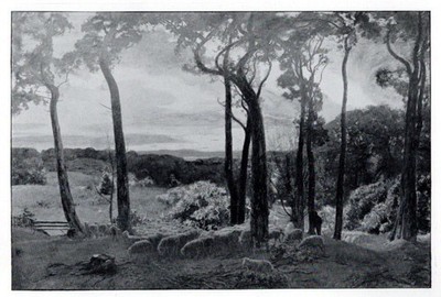 HAMPSTEAD HEATH LONDON FROM THE FIRS BY  ''THE SPANIARDS'' - DAVID MURRAY -  1897