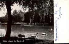 RPPC Lacul din Dumbrava Sibiu Romania vintage postcard e186