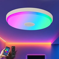 Led Deckenleuchte Dimmbar 24W Ø30CM Bluetooth Farbwechsel Rgb FüR Kinderzimmer