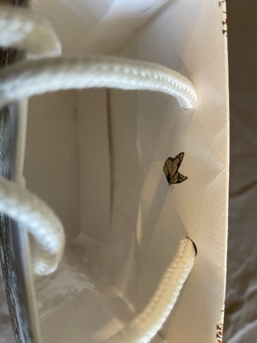 Authentic Dior Butterfly Gift Bag with Star Charm–Limited Edition Empty Packag - Picture 5 of 5