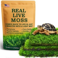 Live Moss Variety Pack for Reptiles  3-Pack Mixed Real Terrarium Mosses Each 3.