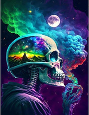 Pchmcu DIY Skull Paint by Numbers Kits for Adults,Paint by Number for Adults Beg