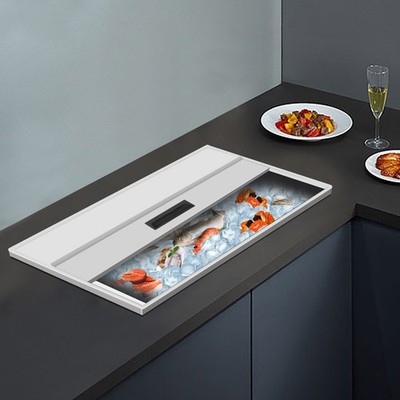 Drop-in Ice Bin Kitchens Ice Chest Juice Ice Bin Not Easily Deformed Easy Clean
