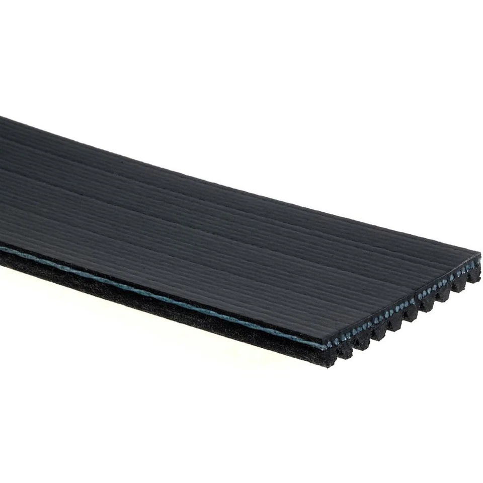 Cinturón serpentino ACDelco 10K731 para 98-09 CE comercial CE integrado CH CTP Foto 3 de 4