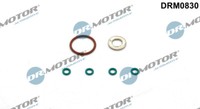 DRM0830 Dr.Motor Automotive Dichtungssatz, EinspritzdüSe FüR Audi,Seat,Vw