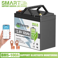 12V 100Ah Mini Bluetooth LiFePO4 Lithium Battery BMS for Trolling Motor RV Solar