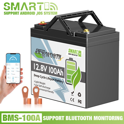 12V 100Ah Mini Bluetooth LiFePO4 Lithium Battery BMS for Trolling Motor RV Solar