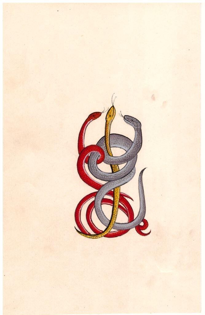 PINTURA DE PAPEL DE LA DÉCADA DE 1990 PINTURA TANTRA SERPIENTE ENREDADA PINTURA ÚNICA