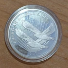 2019 Cook Islands $2 American Double Eagle 1/2 oz .999 Fine Silver Proof Coin