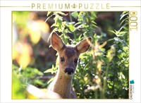 Calvendo Puzzle Max | 1000 Pieces, Finished Size 25.2 × 18.9 In (64 × 48 Cm) | P