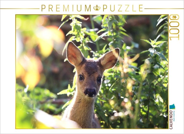 Calvendo Puzzle Max | 1000 Pieces, Finished Size 25.2 × 18.9 In (64 × 48 Cm) | P-image