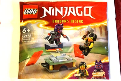 LEGO Ninjago 30675 Tournament Training Ground