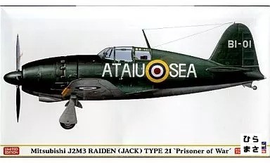 Plastic Model Kit 1/48 Mitsubishi J2M3 Raiden Kai Captured Allied Scheme Limited