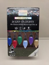 Used Gemmy Orchestra of Lights Color Changing 24 LED C9 Lights, Step 2, 883101