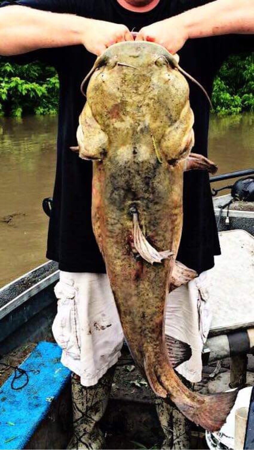 Pvc Bank Lines For Catfish