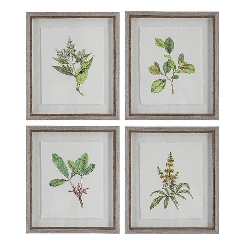 Uttermost Wildflower Study Plastic Paper Prints in Brown/Green/White (Set of 4) - Picture 1 of 7