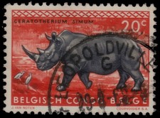 ✔️ BELGIUM CONGO 1959 - FAUNA WHITE RHINOCEROS  - SC. 306 (o)