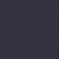 Toyota Blue Black Leather Dye