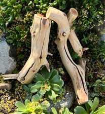 Large Driftwood Manzanita Aquascape Aquarium Terrarium Reptile Bonsai Set of 3