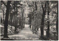 VALLOMBROSA - FIRENZE - VIALE PER IL SALTINO - VIAGG. 1961 -4805-