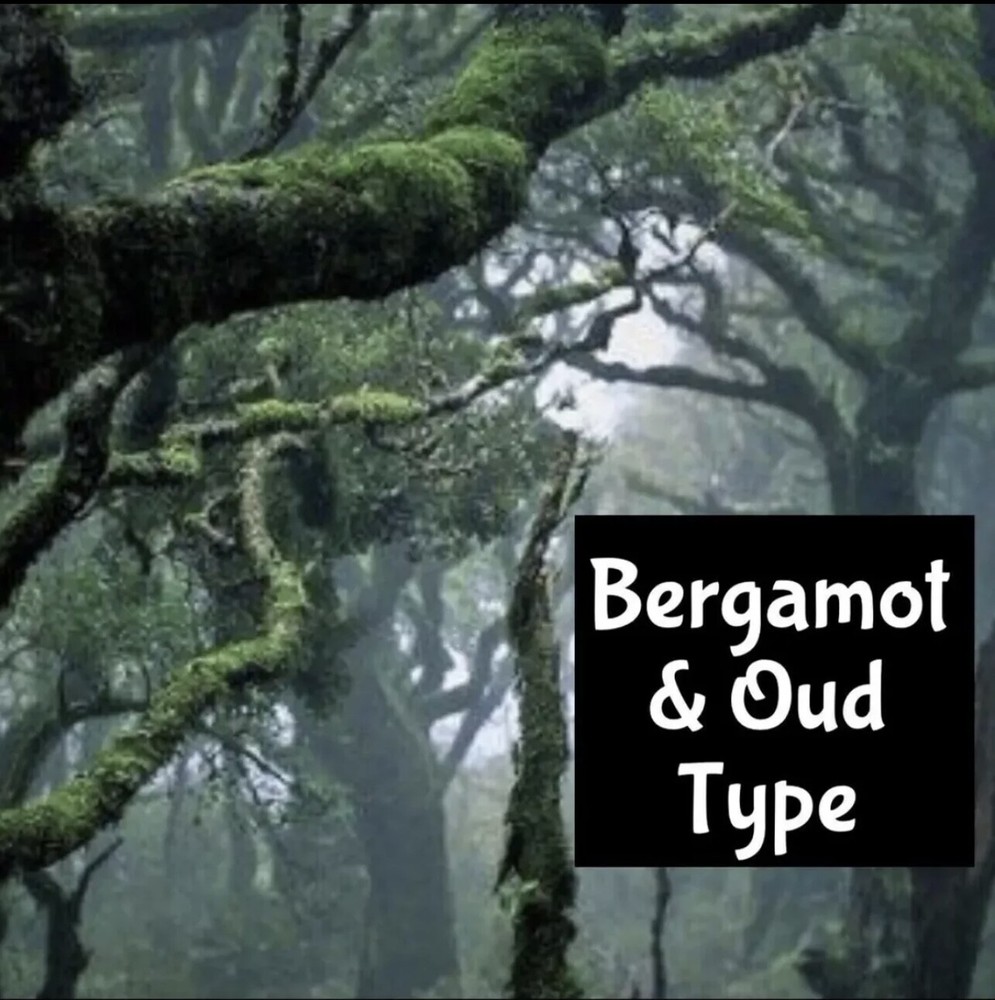 BERGAMOT WOODS Cologne Scrub Exfoliating Body Wash Shave Bread Fragrance Oil