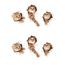 Image of 3D Wall Decals Stickers Vivid Decors Murals for Room Home Removable Wall Art