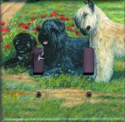 Bouvier Double Toggle light switch plate, made in USA