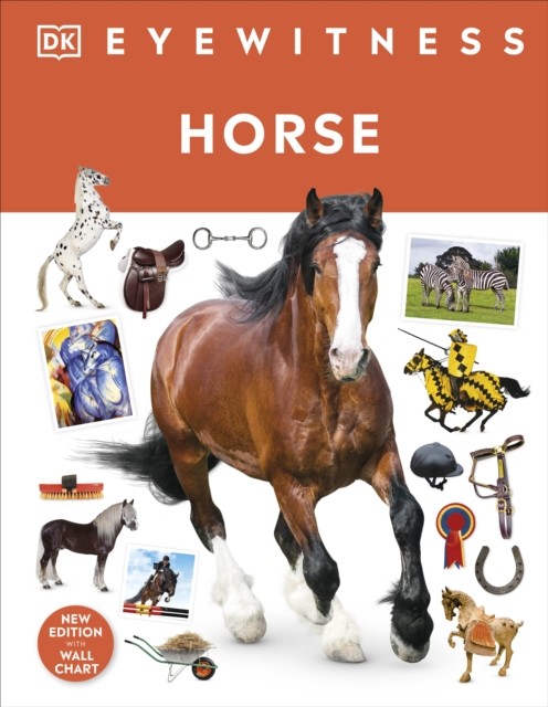 Horse by DK (Hardback Book)