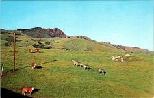 Hearst San Simeon State Historical Monument, SAN SIMEON, California Postcard