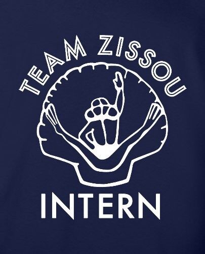 TEAM ZISSOU INTERN bill murray movie pro screenprinted 50/50 Gildan NAVY Hoodie - Picture 2 of 2