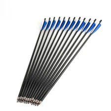 12Pcs 17'' SP300 OD 8.8mm Carbon Arrow Plastic Feather Replaceable Arrowhead