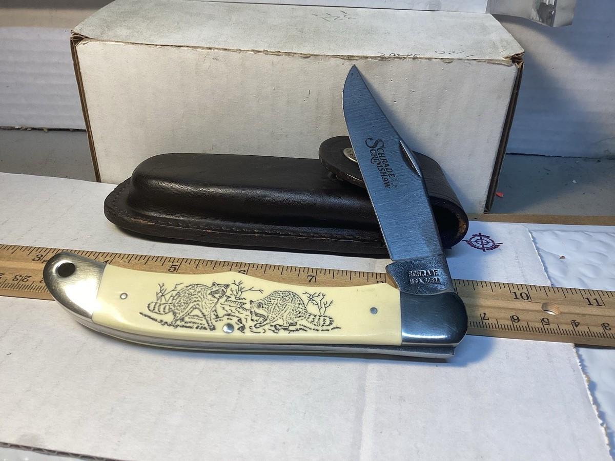 Vintage Schrade Rare SC500 Coons Scrimshaw Single Blade Folding