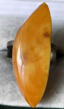 Vintage Elegant ring size 11 Baltic Amber polished Butterscotch Egg Yolk          